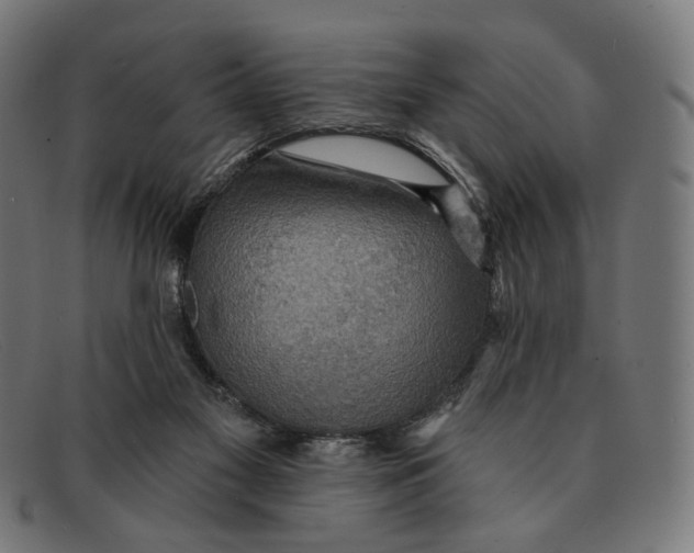 X0000091460117200709131741