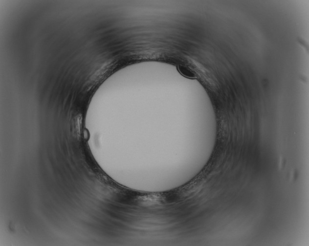 X0000091460118200709131741