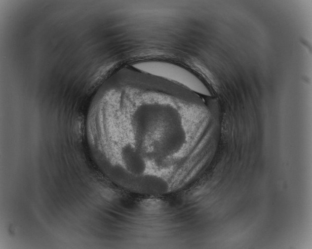 X0000091460119200709131741