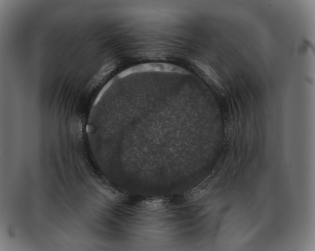 X0000091460120200709131741