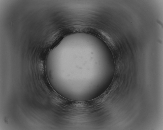 X0000091460121200709131741