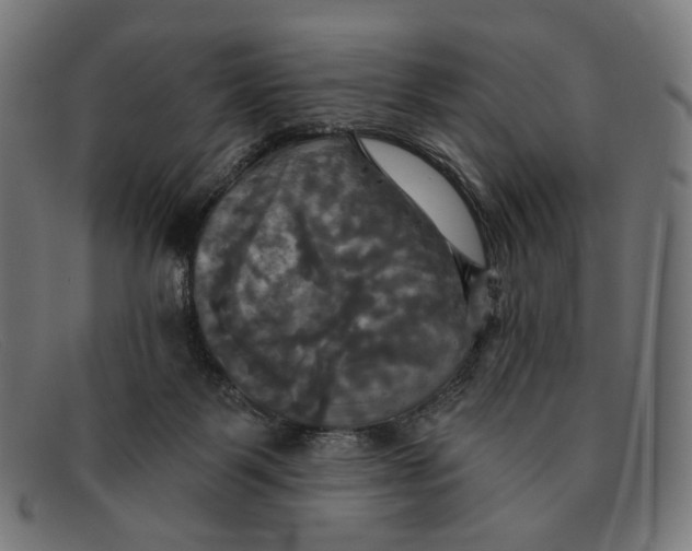 X0000091460123200709131741