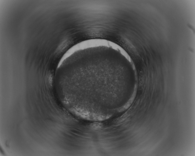 X0000091460124200709131741