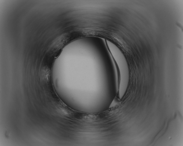 X0000091460125200709131741