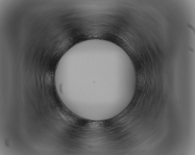 X0000091460126200709131741