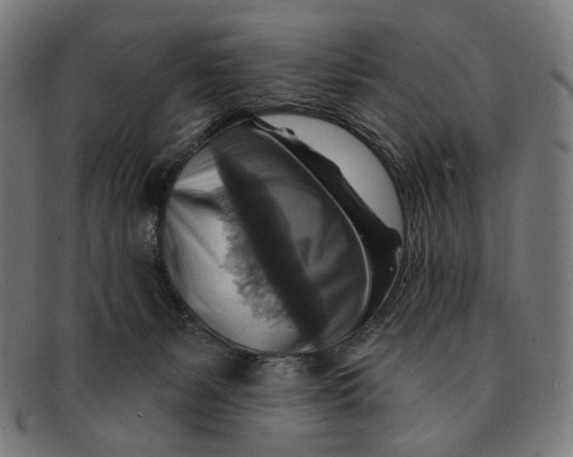 X0000091460127200709131741