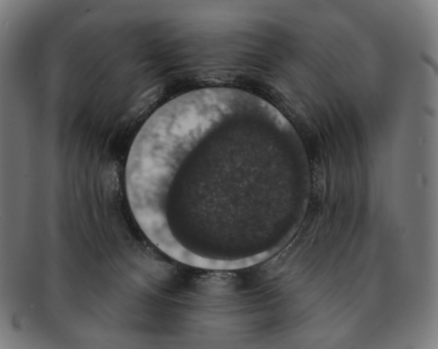 X0000091460128200709131741