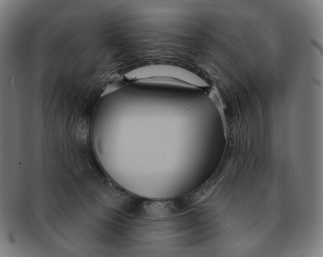 X0000091460129200709131741