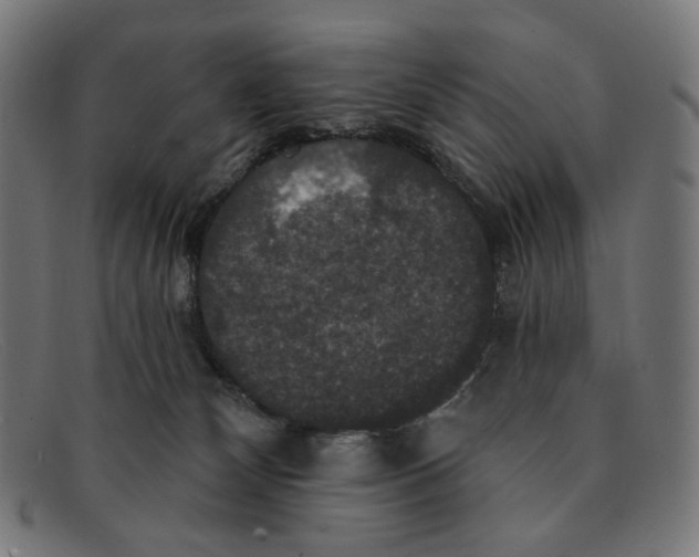 X0000091460132200709131741