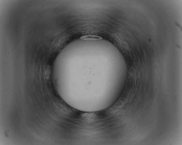 X0000091460133200709131741