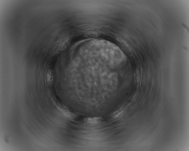 X0000091460134200709131741