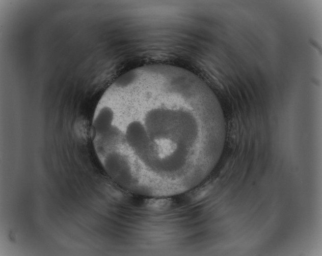 X0000091460135200709131741