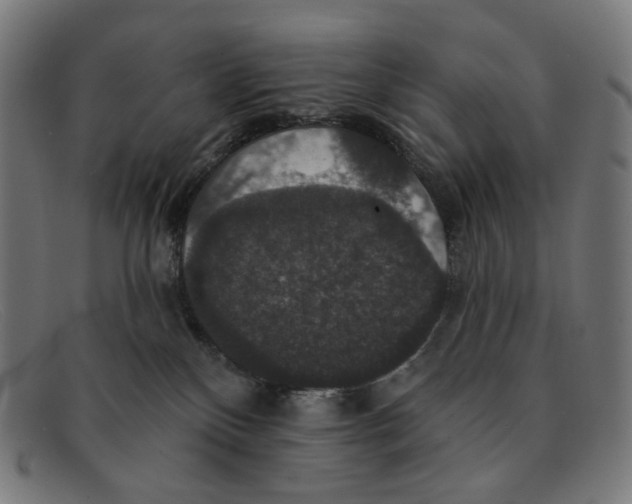 X0000091460136200709131741