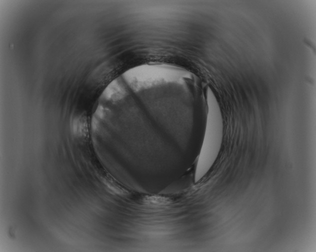 X0000091460137200709131741