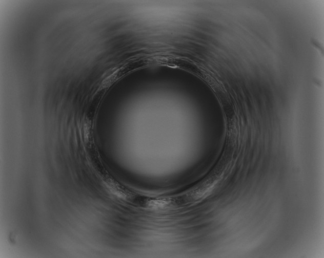 X0000091460139200709131741