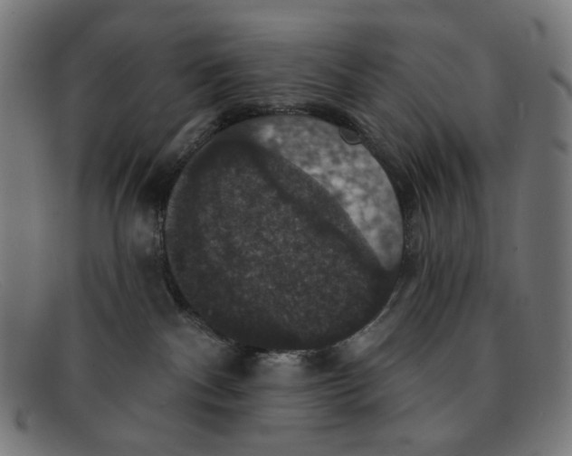 X0000091460140200709131741