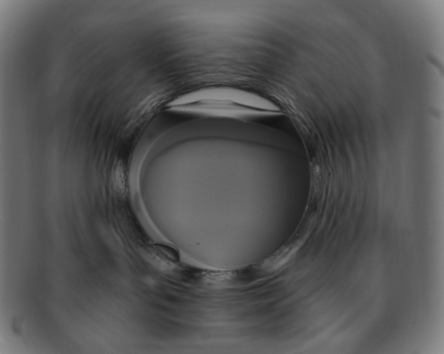 X0000091460143200709131741
