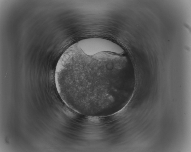 X0000091460144200709131741