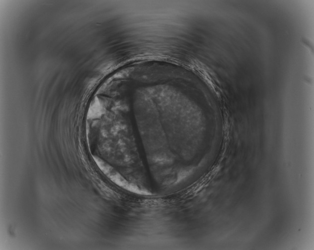 X0000091460145200709131740