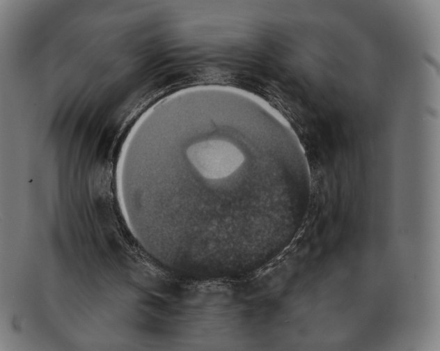 X0000091460146200709131740
