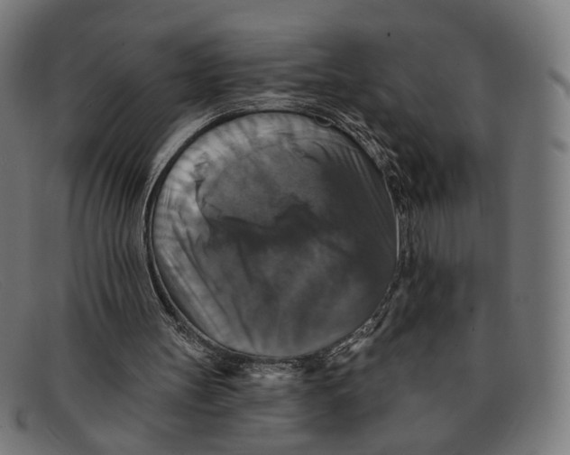 X0000091460147200709131740