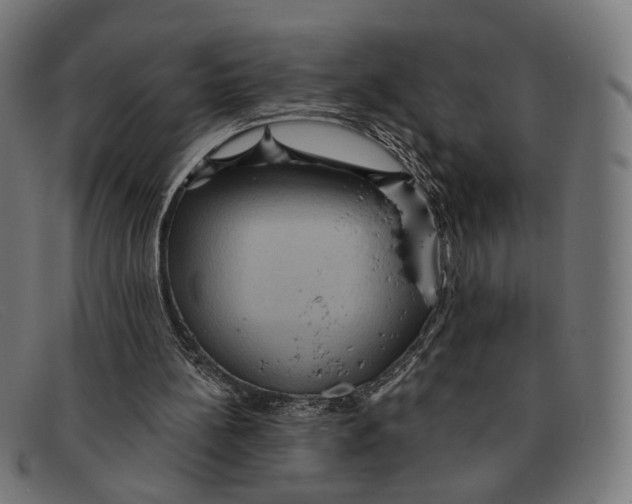 X0000091460148200709131740