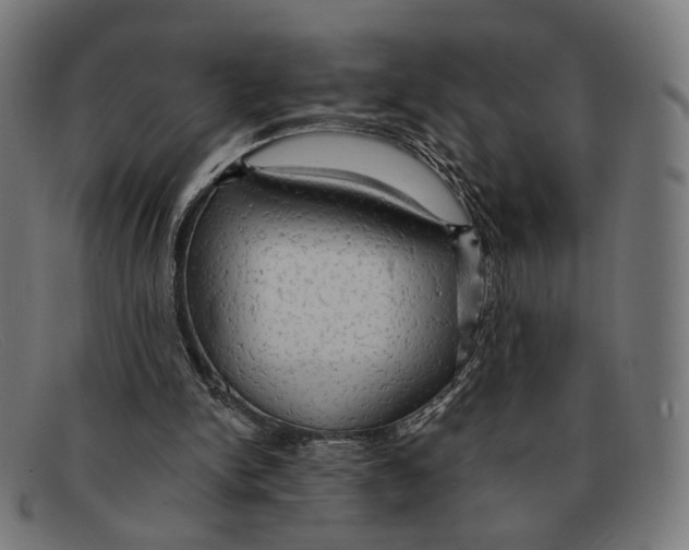 X0000091460150200709131740