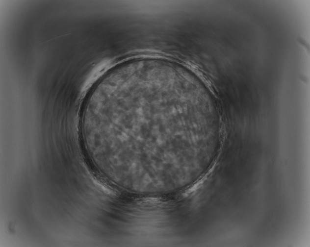 X0000091460151200709131740