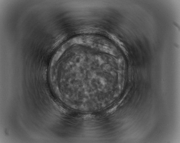 X0000091460153200709131740