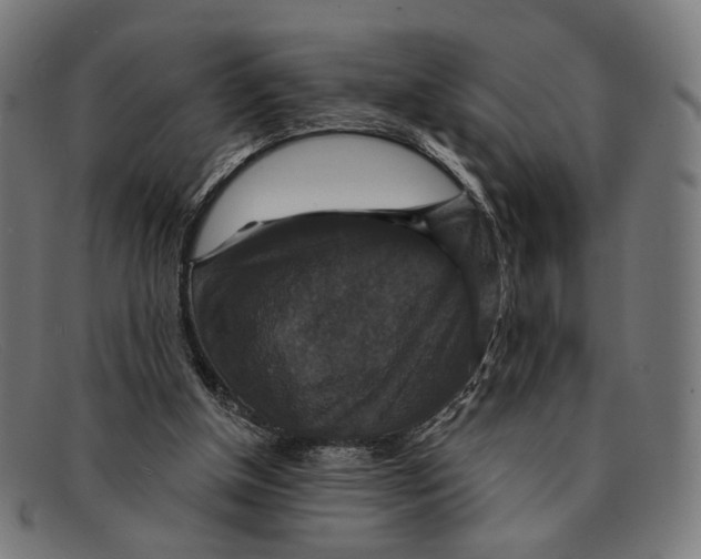 X0000091460154200709131740