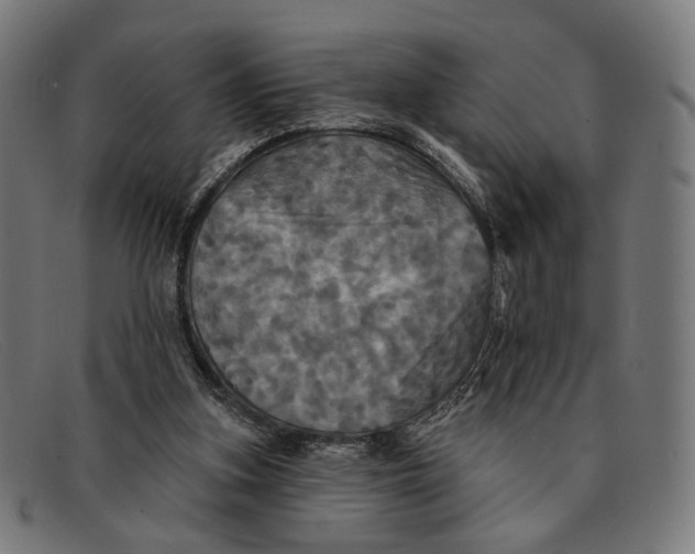 X0000091460155200709131740