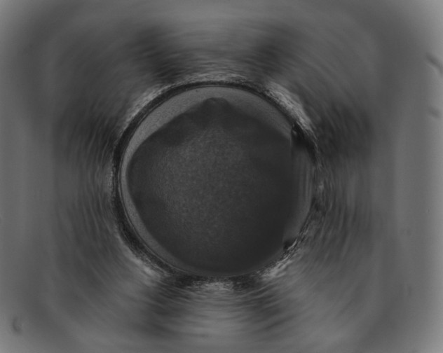 X0000091460156200709131740