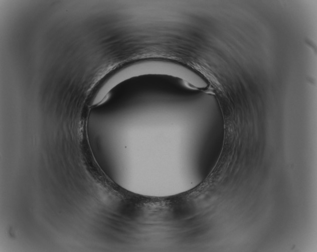 X0000091460160200709131740