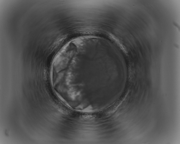 X0000091460161200709131740