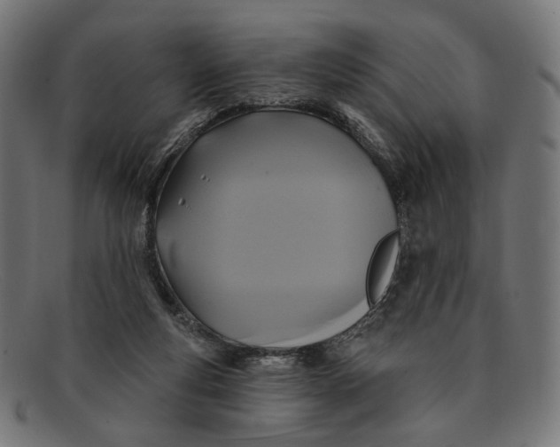 X0000091460163200709131740
