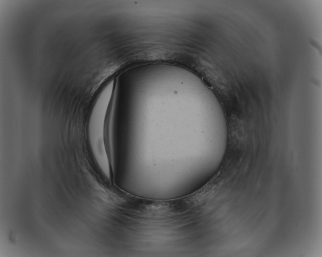 X0000091460164200709131740