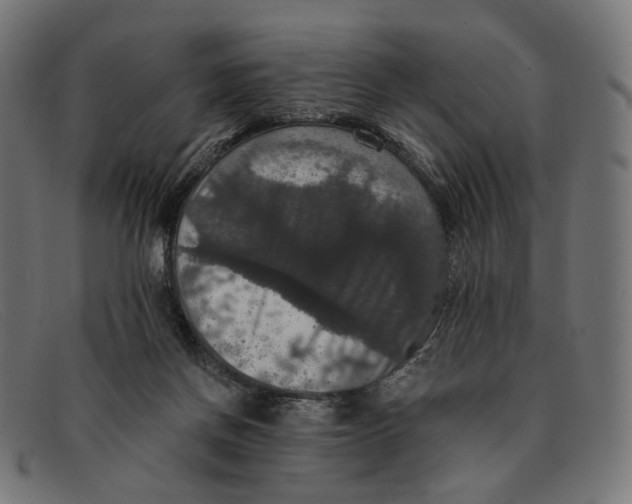 X0000091460166200709131740