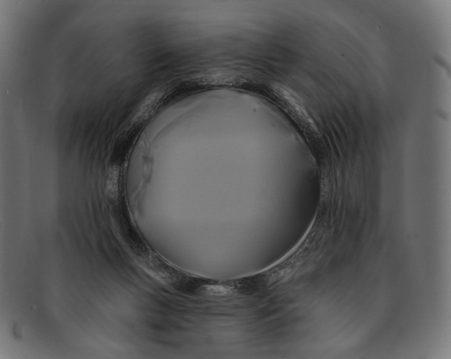 X0000091460167200709131740