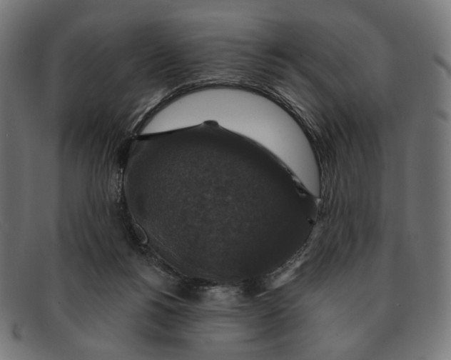 X0000091460168200709131740