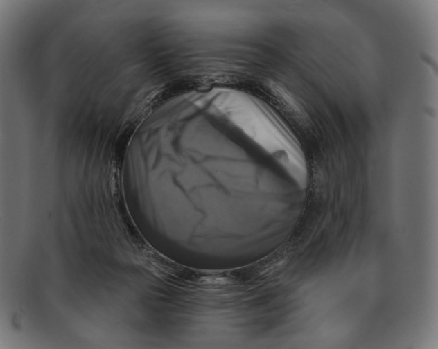 X0000091460169200709131740