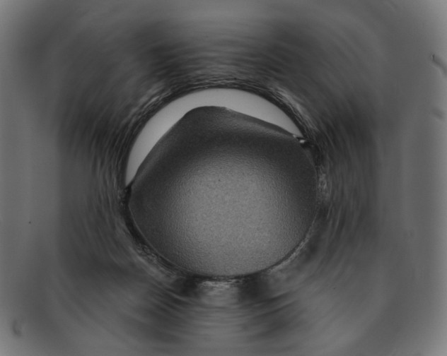 X0000091460170200709131740