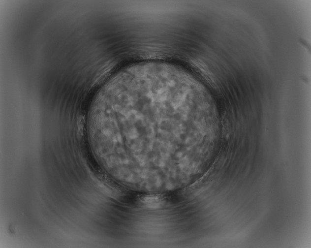 X0000091460171200709131740