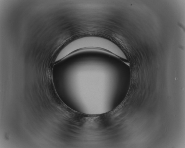 X0000091460172200709131740