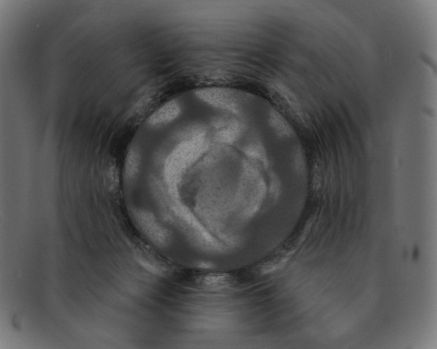 X0000091460173200709131740