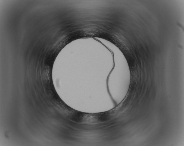 X0000091460174200709131740
