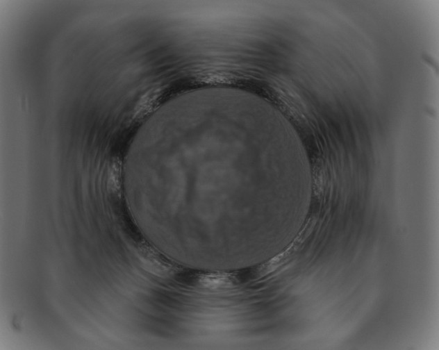 X0000091460175200709131740