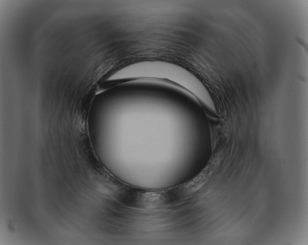 X0000091460176200709131740