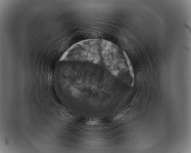 X0000091460177200709131740