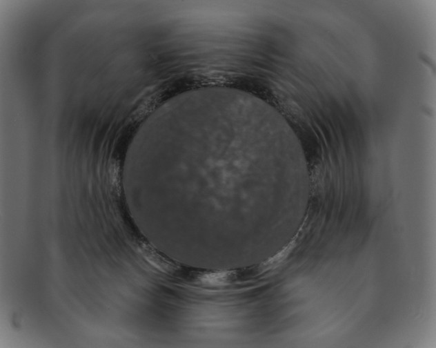 X0000091460178200709131740
