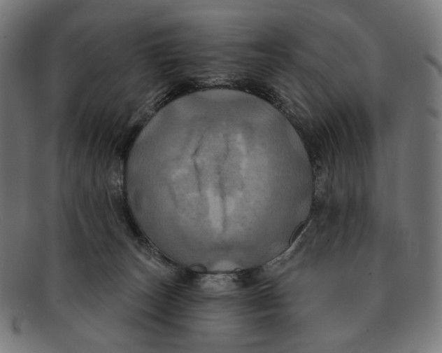 X0000091460179200709131740